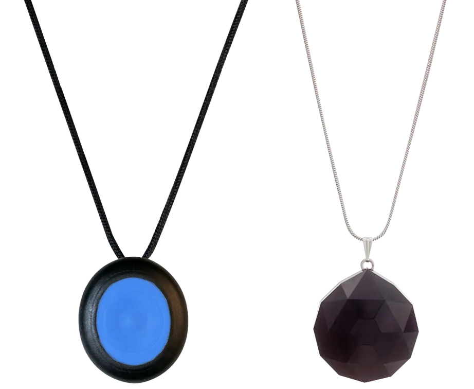 Les deux colliers de téléassistance