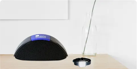 Domveil et son collier